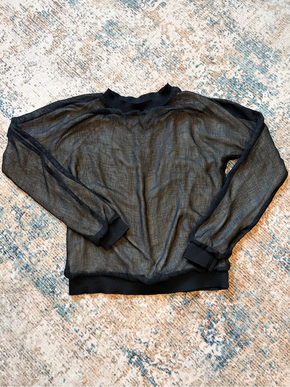 Zara Sheer Black Long-Sleeve Pullover Sweatshirt